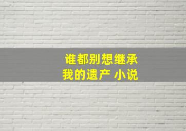 谁都别想继承我的遗产 小说